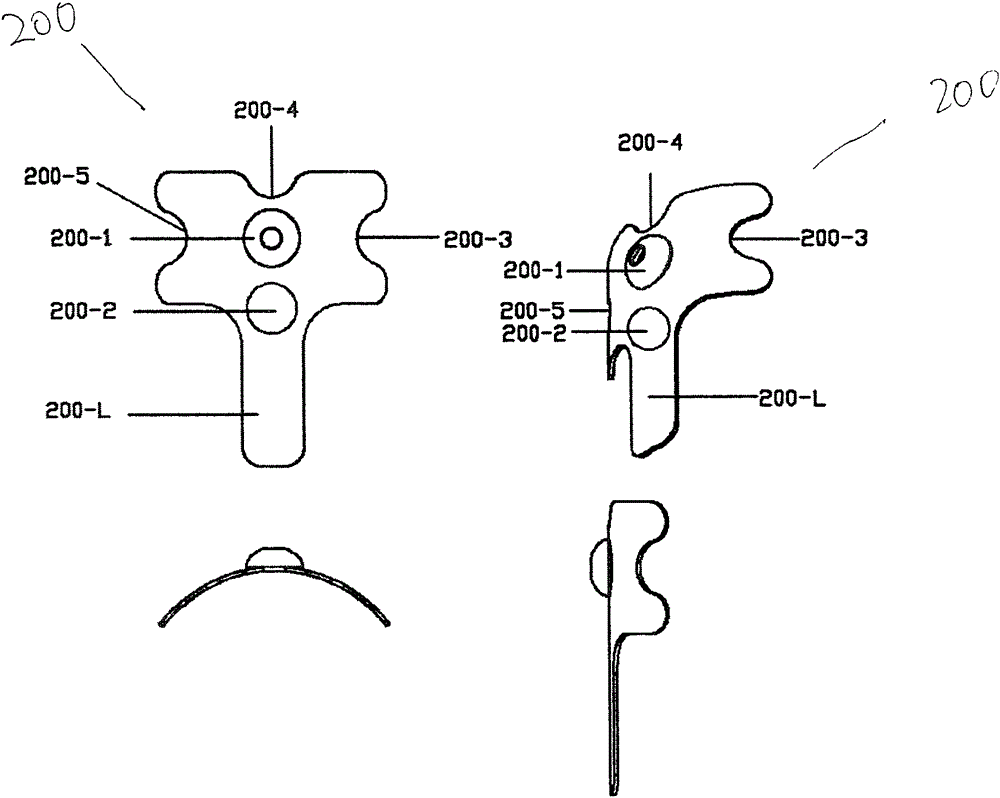 Tongue muscle active exercise training apparatus