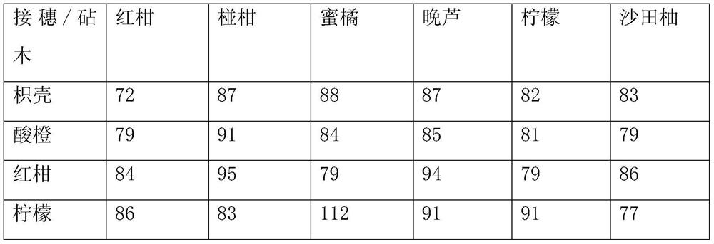 A kind of cultivation method of lemon-flavored tangerine