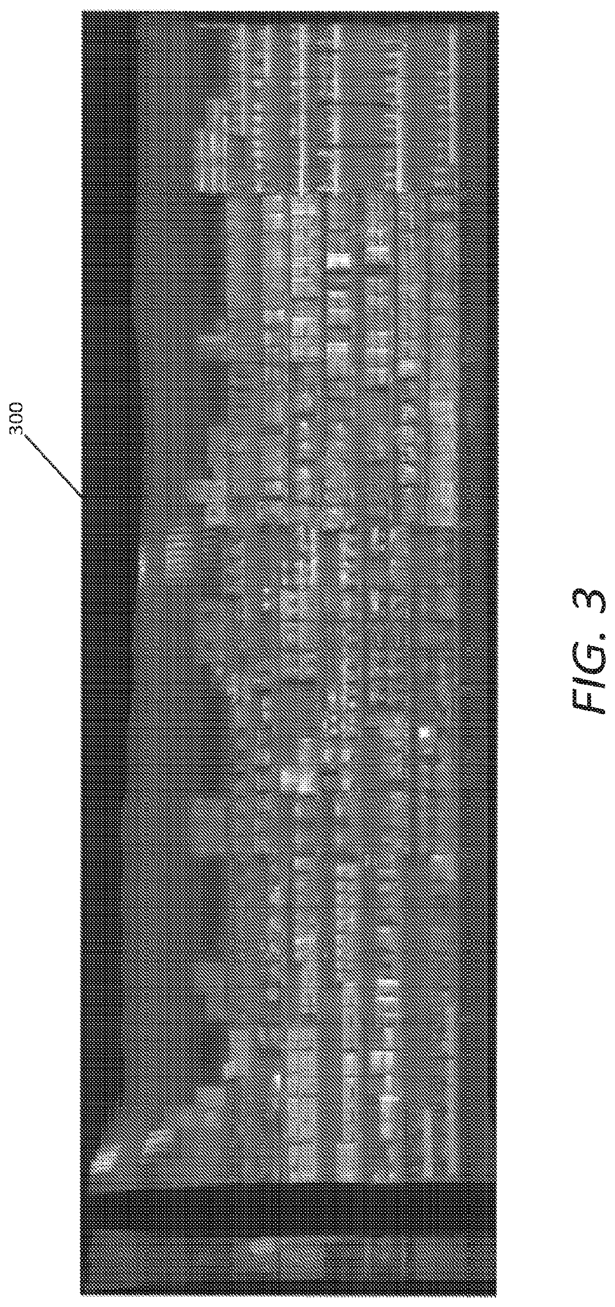 System and method for associating products and product labels