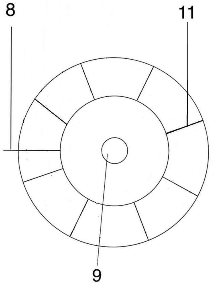 Endoscopic treatment gastric ulcer dressing device