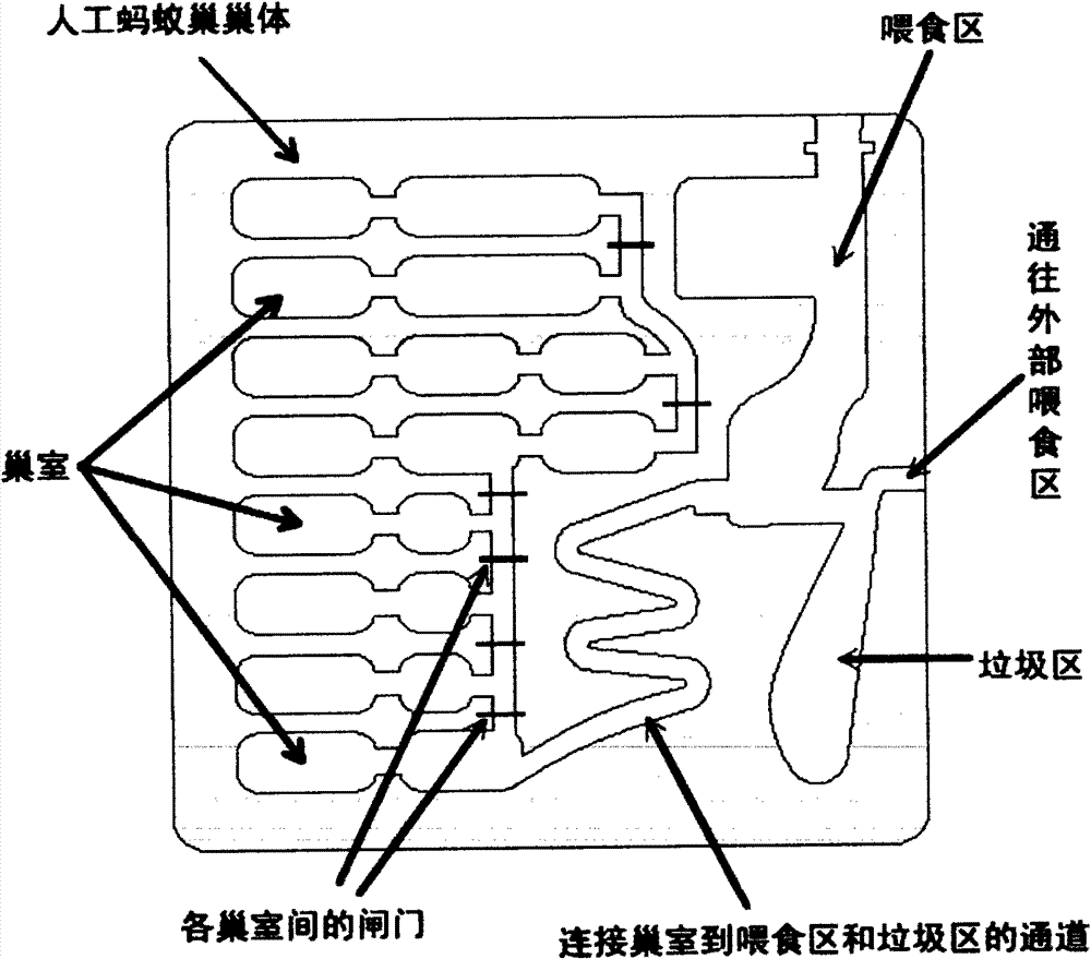 Artificial ant nest