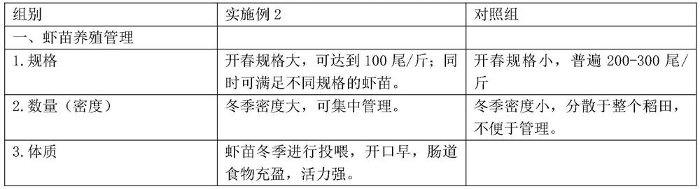 Crayfish breeding zoning breeding system and method in rice field