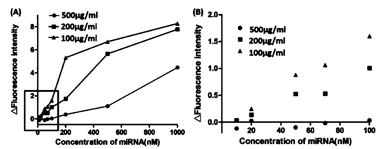 Signal-amplification fluorescence detection system, fluorescence biosensor and application thereof