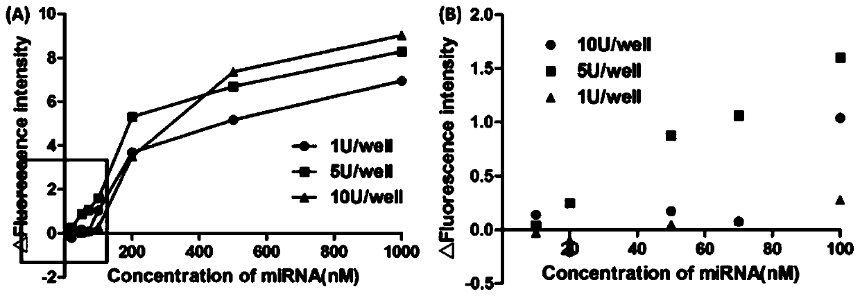 Signal-amplification fluorescence detection system, fluorescence biosensor and application thereof