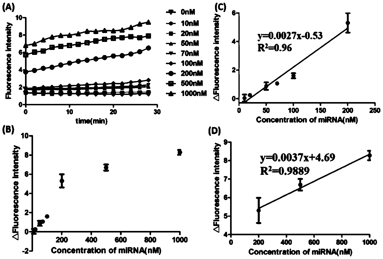 Signal-amplification fluorescence detection system, fluorescence biosensor and application thereof