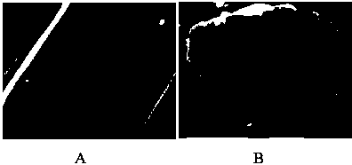 Blended yarn with health care and flame retardant functions and spinning method thereof