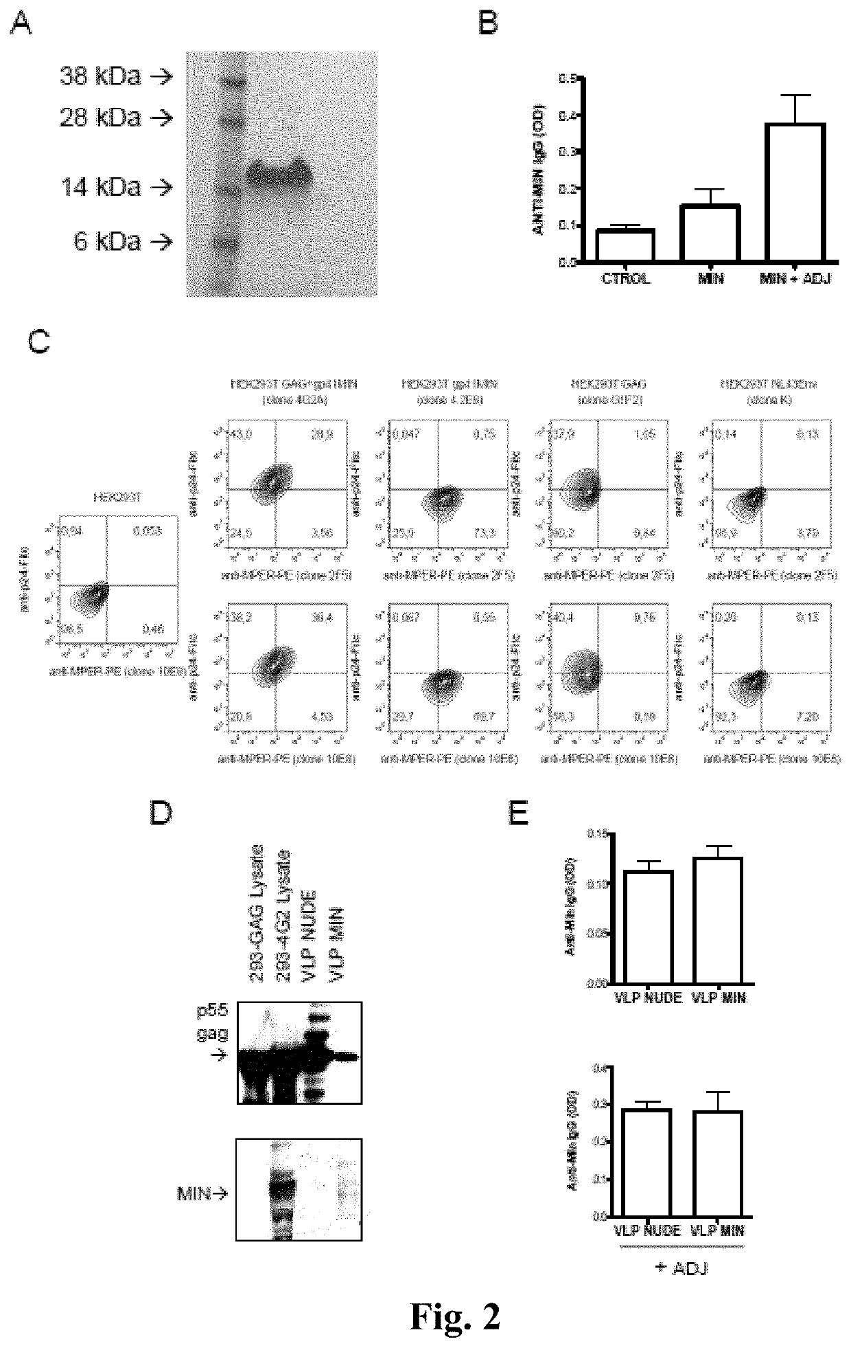 Virus-like particles with high-density coating for inducing the expression of antibodies