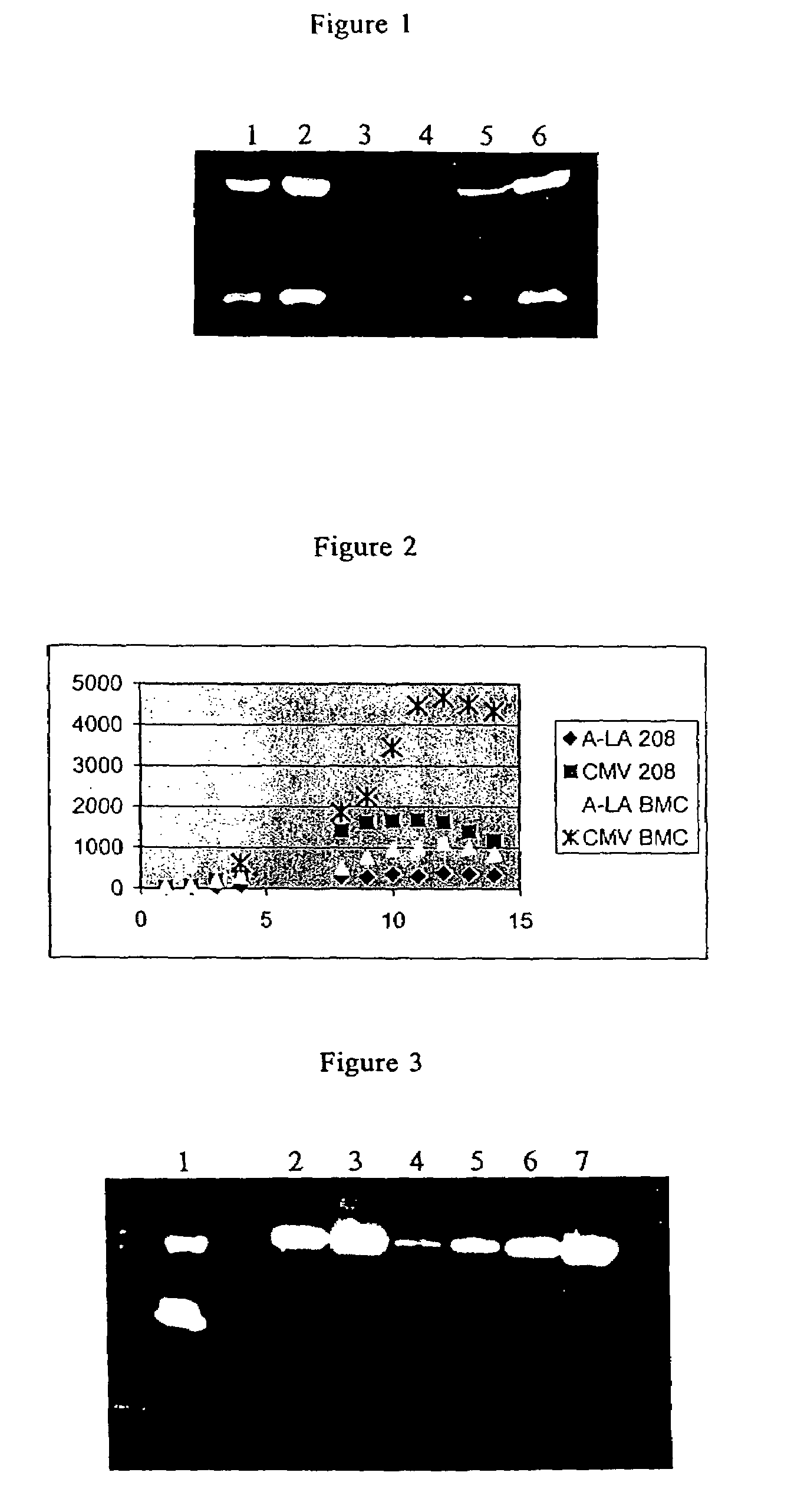 Expression vectors