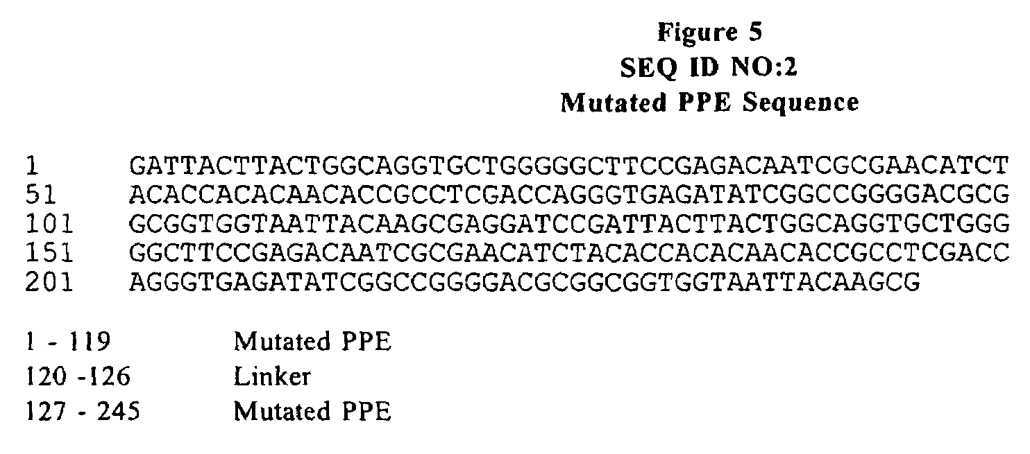 Expression vectors