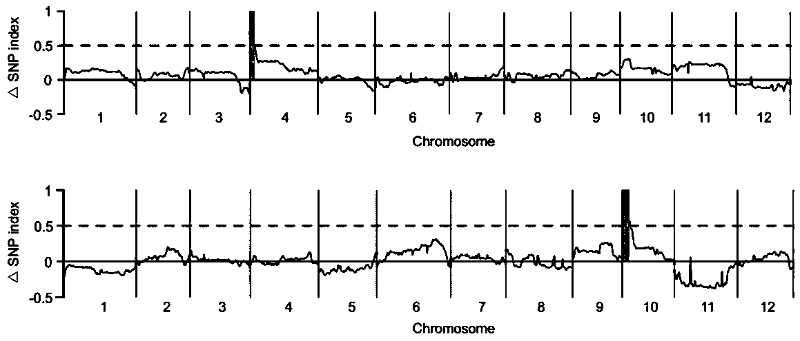 APRR2 gene related to green peel traits of melons