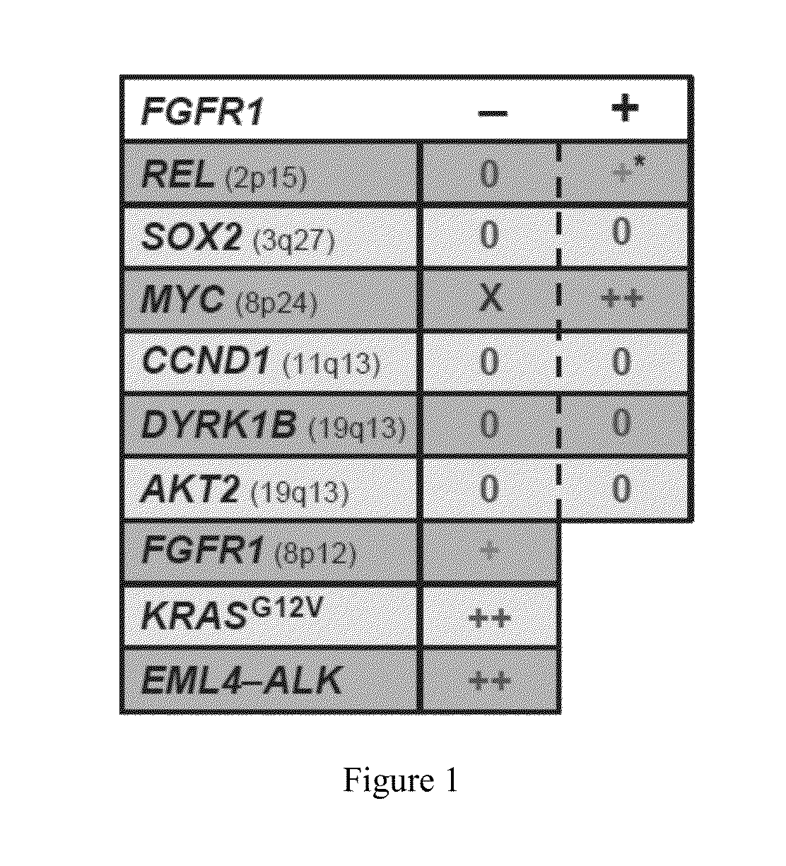 Personalized treatment of cancer using FGFR inhibitors