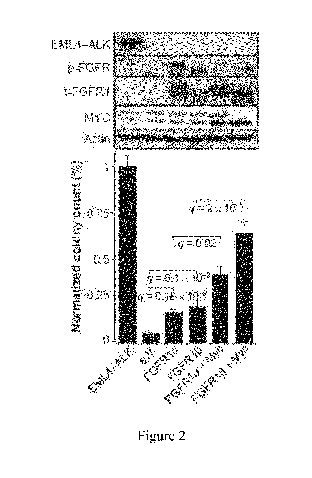 Personalized treatment of cancer using FGFR inhibitors