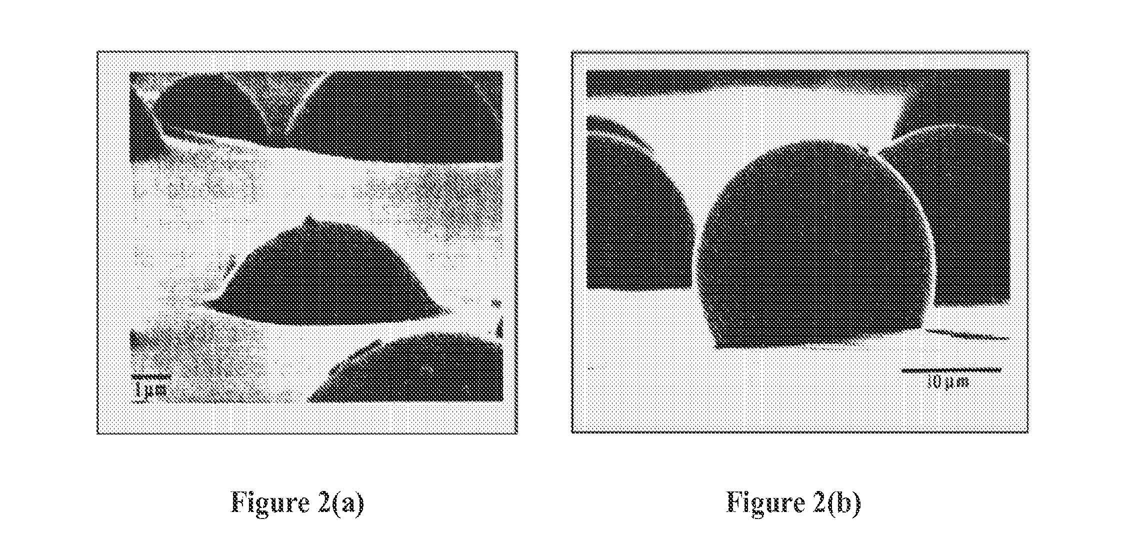 Self-Repairing and Self-Sustaining Autonomous Machines