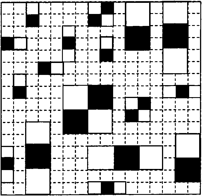 Real-time video image stabilizing method based on integral image characteristic block matching