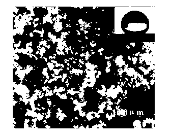 Preparation method of oil-water separation filter paper