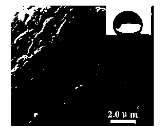 Preparation method of oil-water separation filter paper