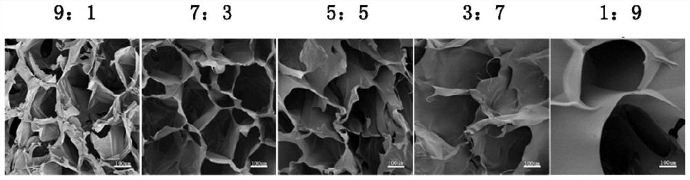 Composite support for tissue engineering auricle shape and preparation method thereof