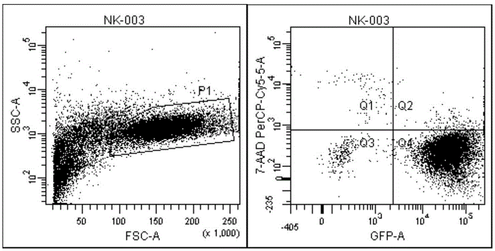 Kits for detecting NK cell activity