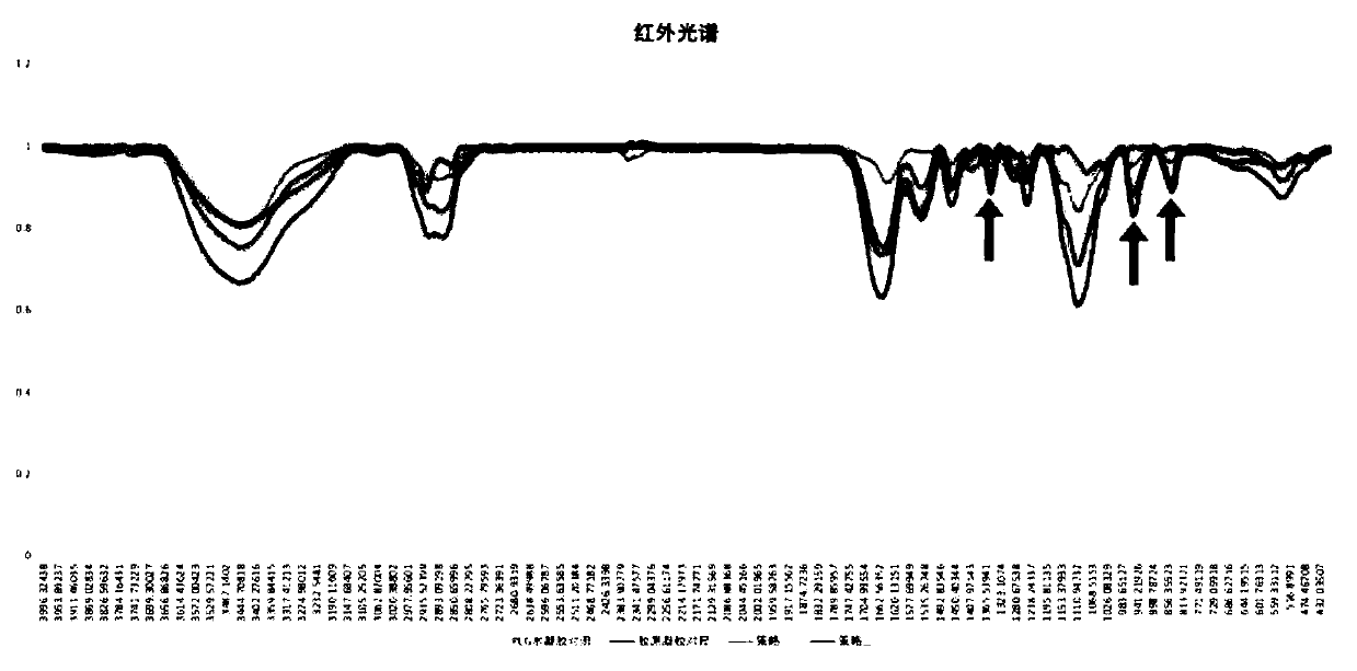 Injectable hydrogel and preparation method thereof