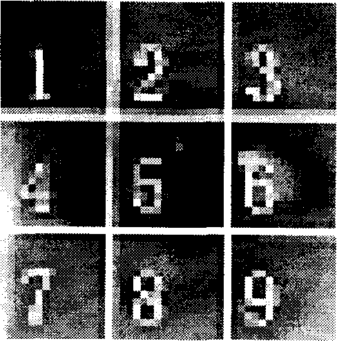 Man face image identifying method based on man face geometric size normalization