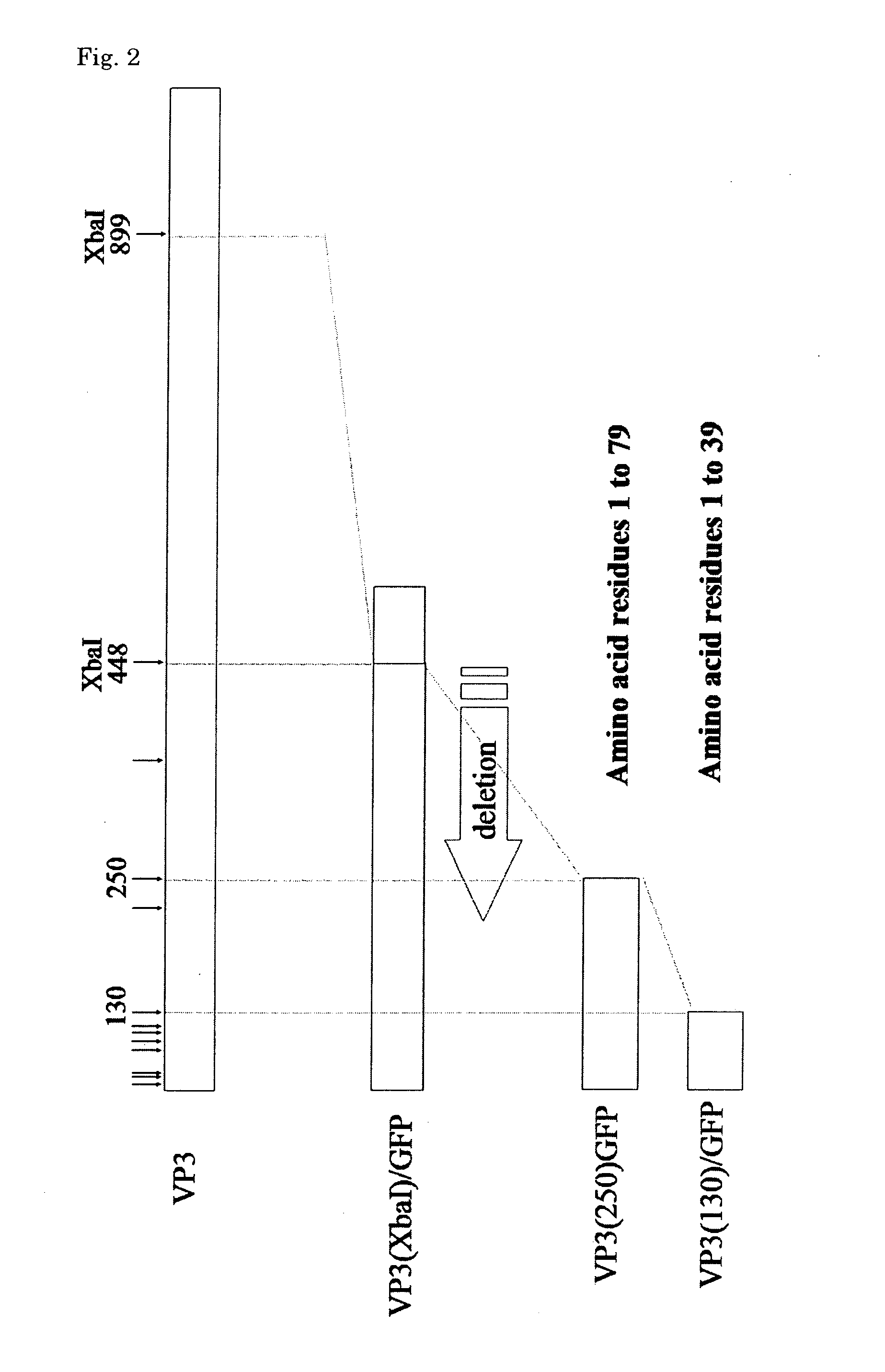 Protein complex, process for producing the same and use thereof