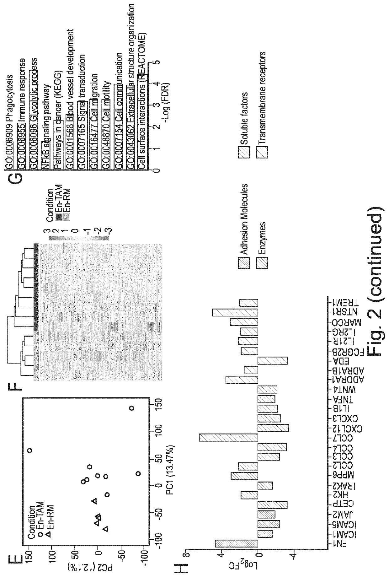 Macrophage expression in breast cancer