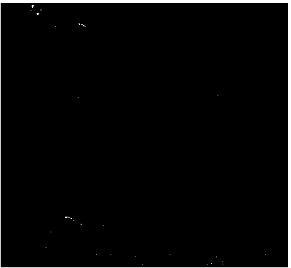 Ferroferric oxide @ silicon dioxide magnetic single-hole hollow microsphere and preparation method thereof