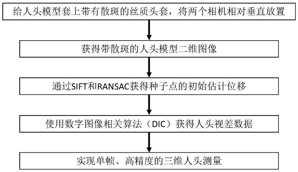 Quick three-dimensional human head measurement method based on digital speckle correlation