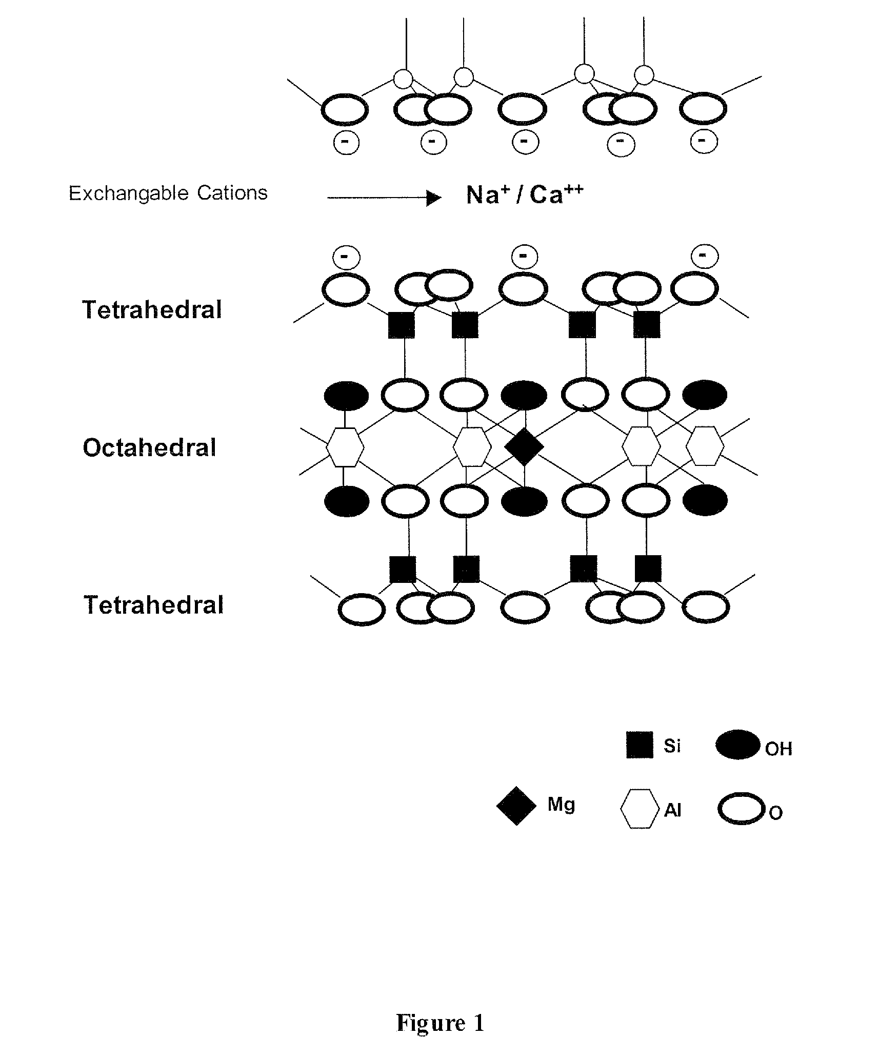 Expanded nanoclays and method of producing such expanded nanoclays