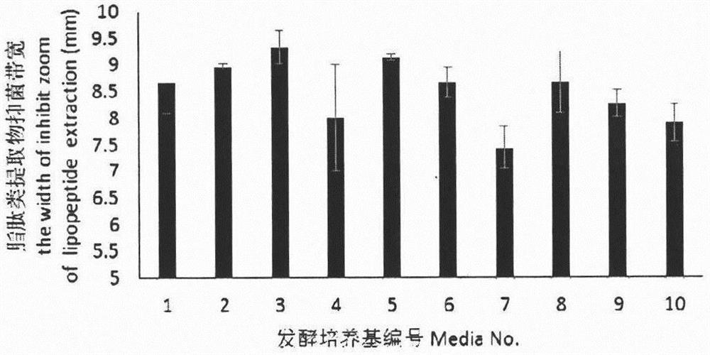 Method for optimizing the shake flask fermentation process of Bacillus subtilis t-500 high-yielding lipopeptide antibiotics