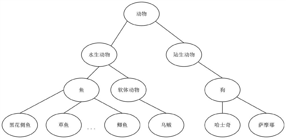 DIKW model construction method and device oriented to intention calculation and reasoning