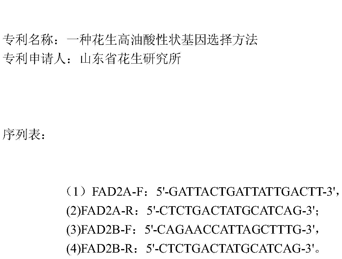 Peanut high-oleic-acid character gene selection method