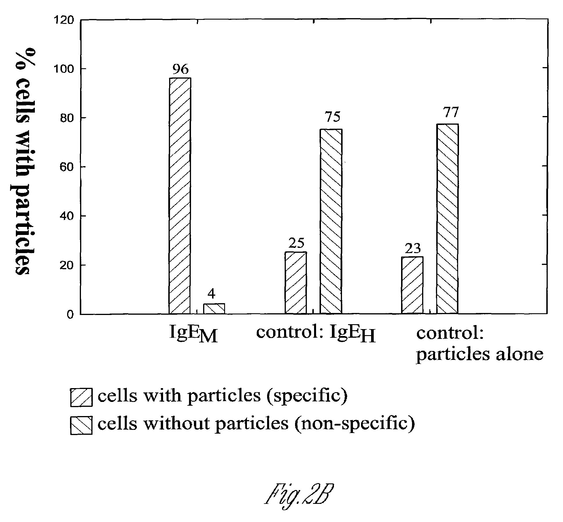 Fluorescent silica-based nanoparticles