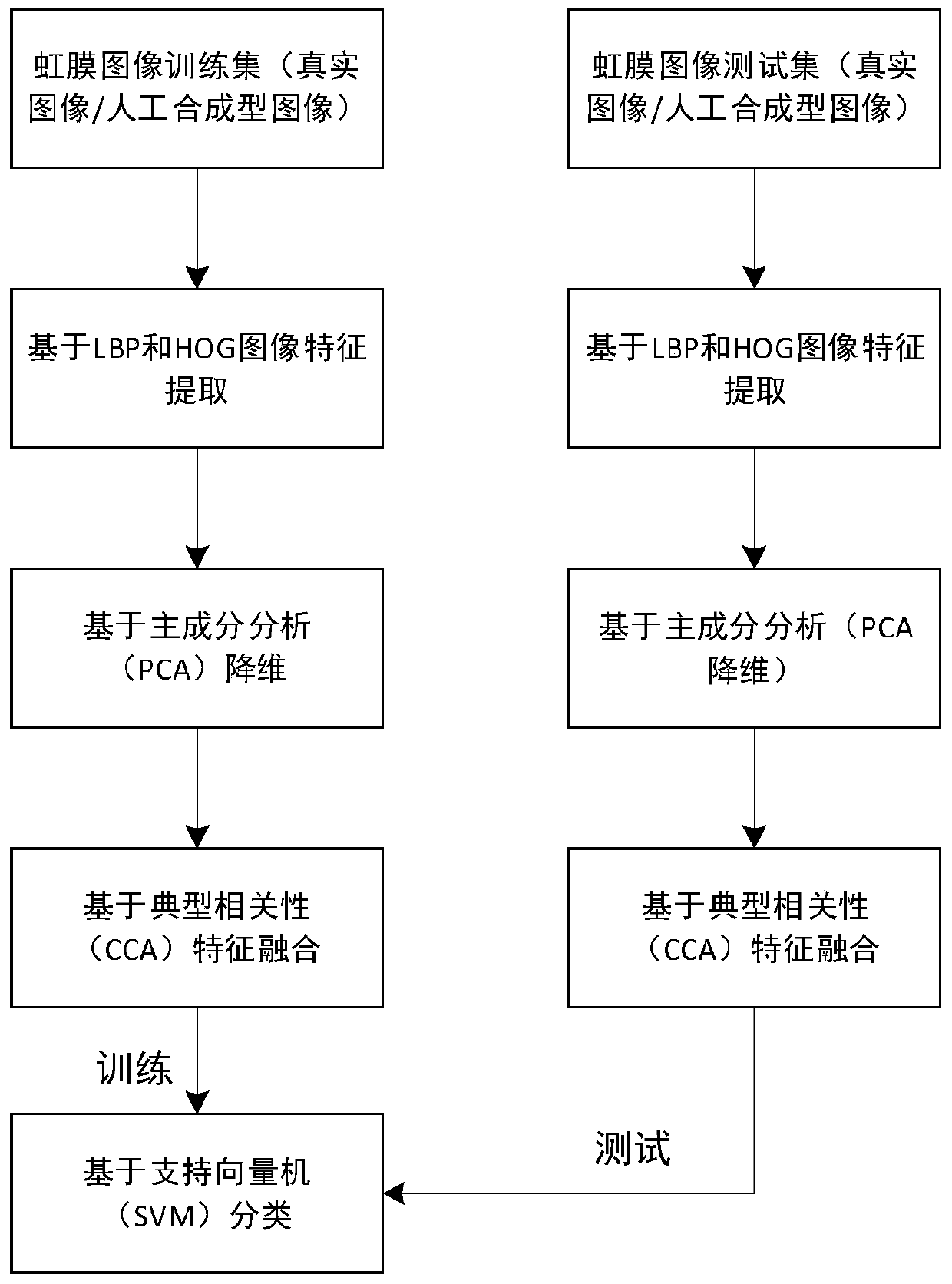 Iris activity detection method based on feature fusion and machine learning