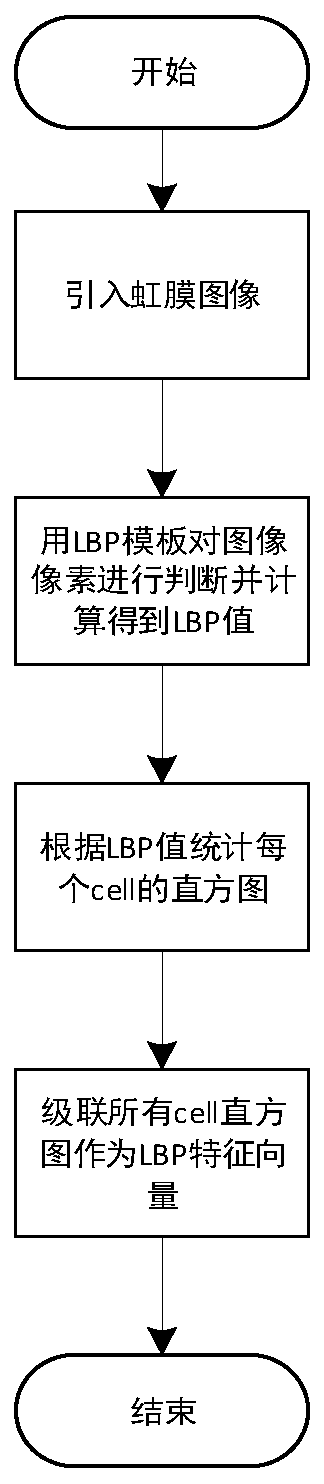 Iris activity detection method based on feature fusion and machine learning