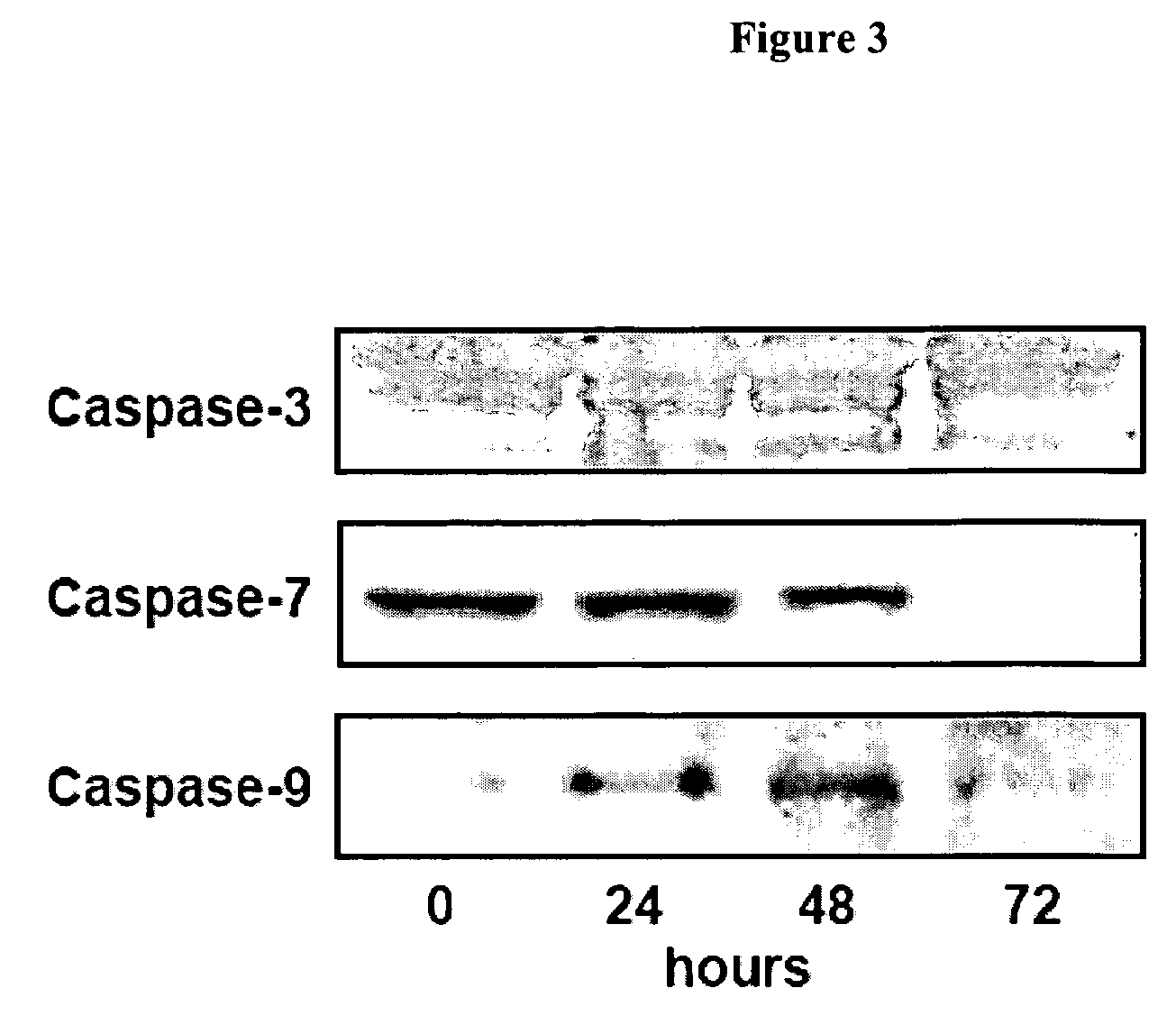 Anticancer glycoside compounds