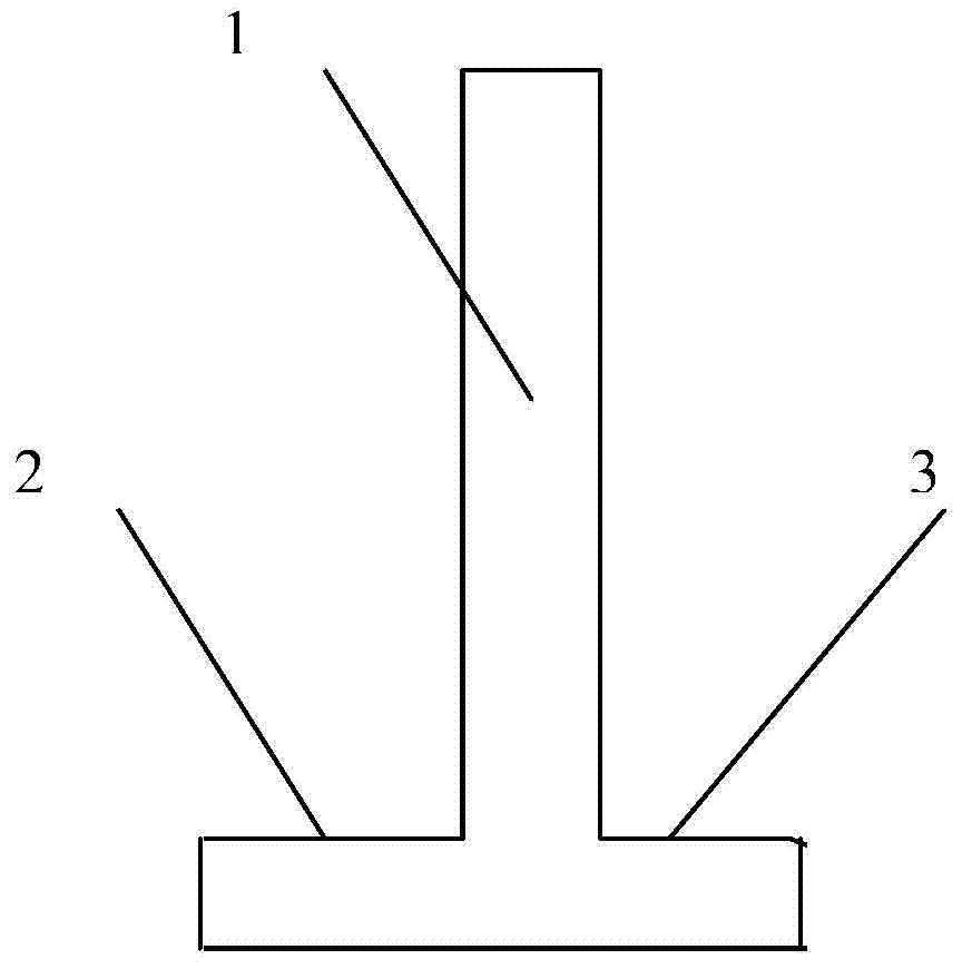 Carotid artery and femoral artery cannula capable of reducing ischemic time of brain or limbs and application thereof