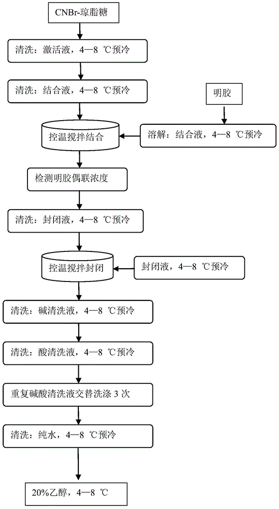 Preparing method and application of gelatin affinity chromatography media