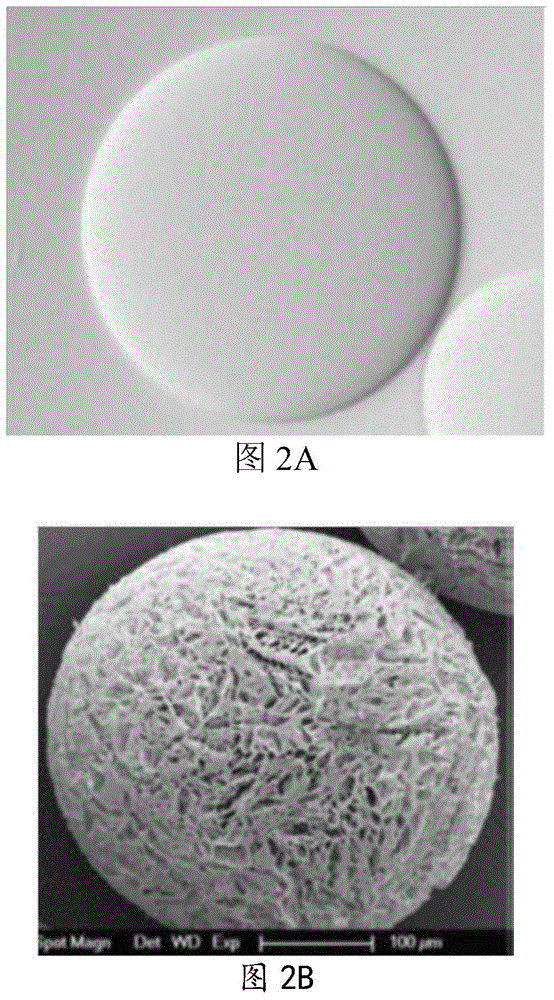 Preparing method and application of gelatin affinity chromatography media