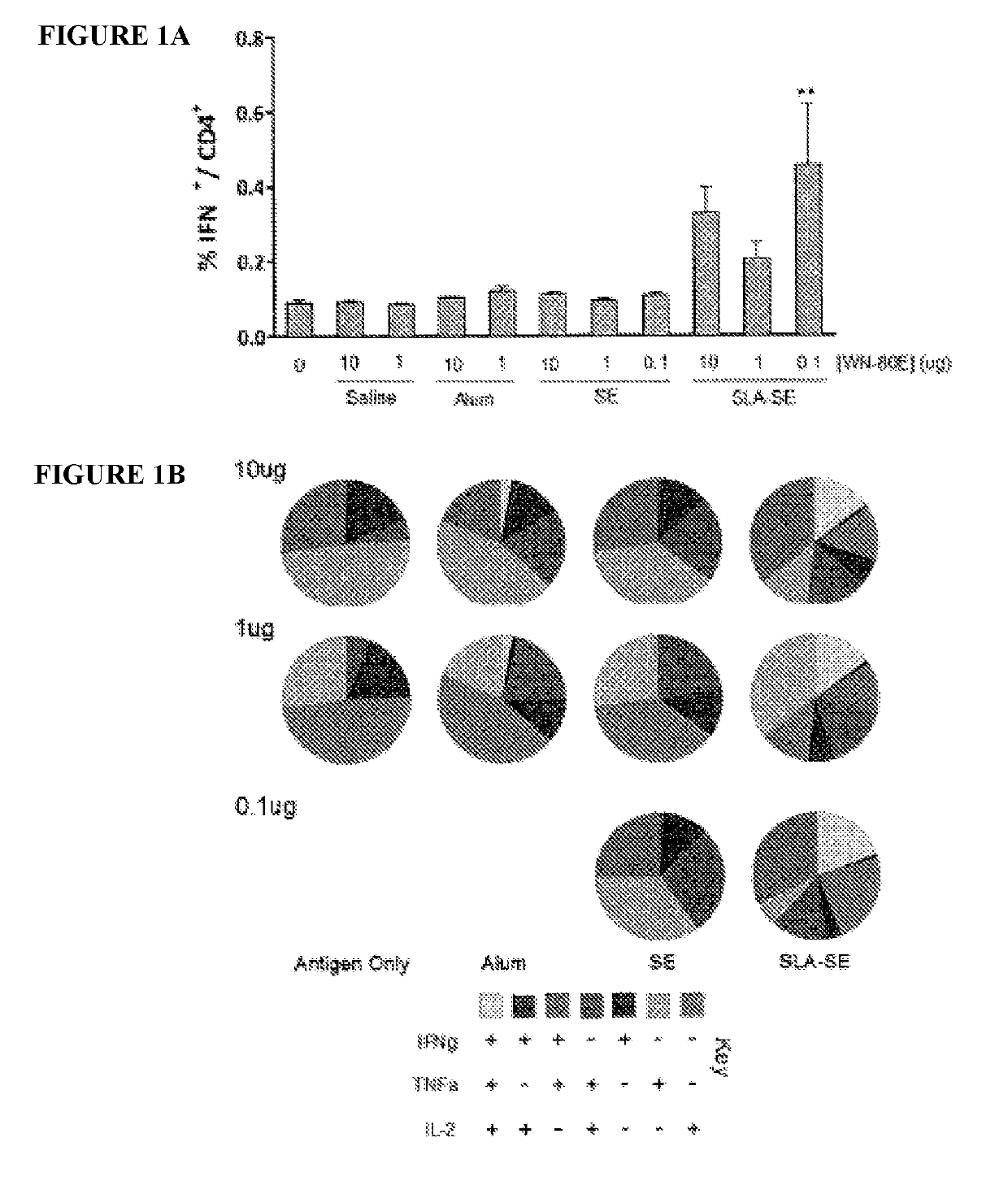 West nile virus vaccine and method of use thereof