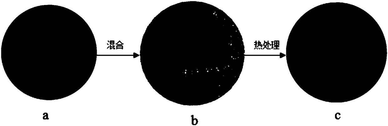 Lithium cobalt oxide material of core-shell structure and preparation method of lithium cobalt oxide material