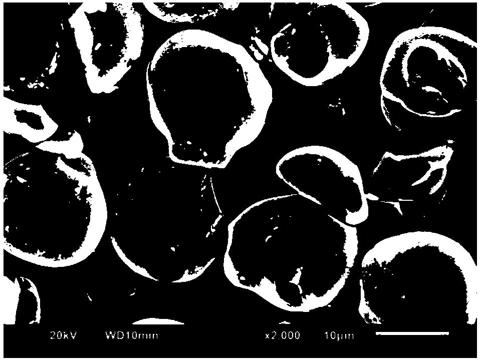 Lithium cobalt oxide material of core-shell structure and preparation method of lithium cobalt oxide material