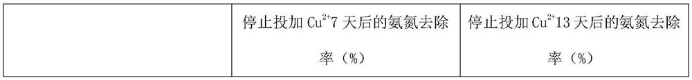 A kind of water treatment filler and preparation method thereof