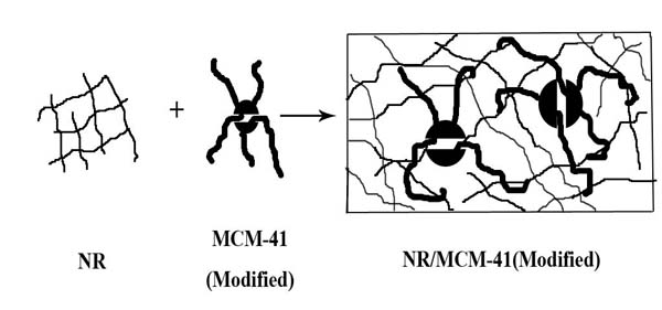 Preparation method of rubber/mesoporous molecular sieve nanocomposite