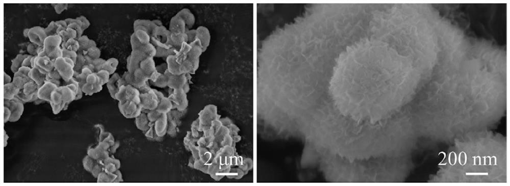 A preparation method of graded mesoporous hydrated alumina microspheres with controllable crystal form