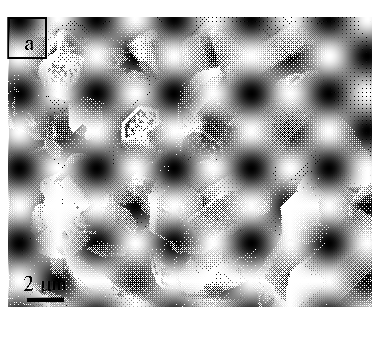 Preparation method of pencil-shaped gamma-MnS microcrystal