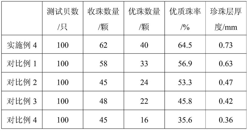 Method for cultivating new variety of pinctada fucata small shellfish