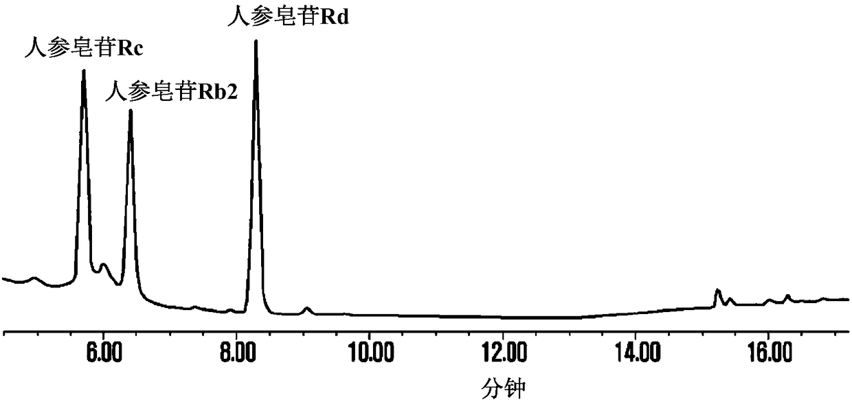 Method for selectively producing ginsenoside rd from saponins of ginseng through enzymatic method