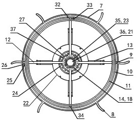 Coastal ecological environment information acquisition and processing system