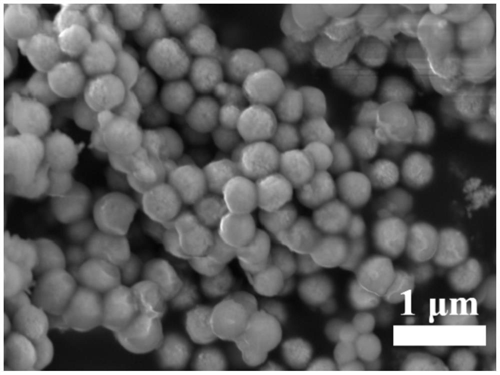 Magnetic core-shell structure porous silicon dioxide carrier for laccase immobilization as well as preparation method and application of magnetic core-shell structure porous silicon dioxide carrier